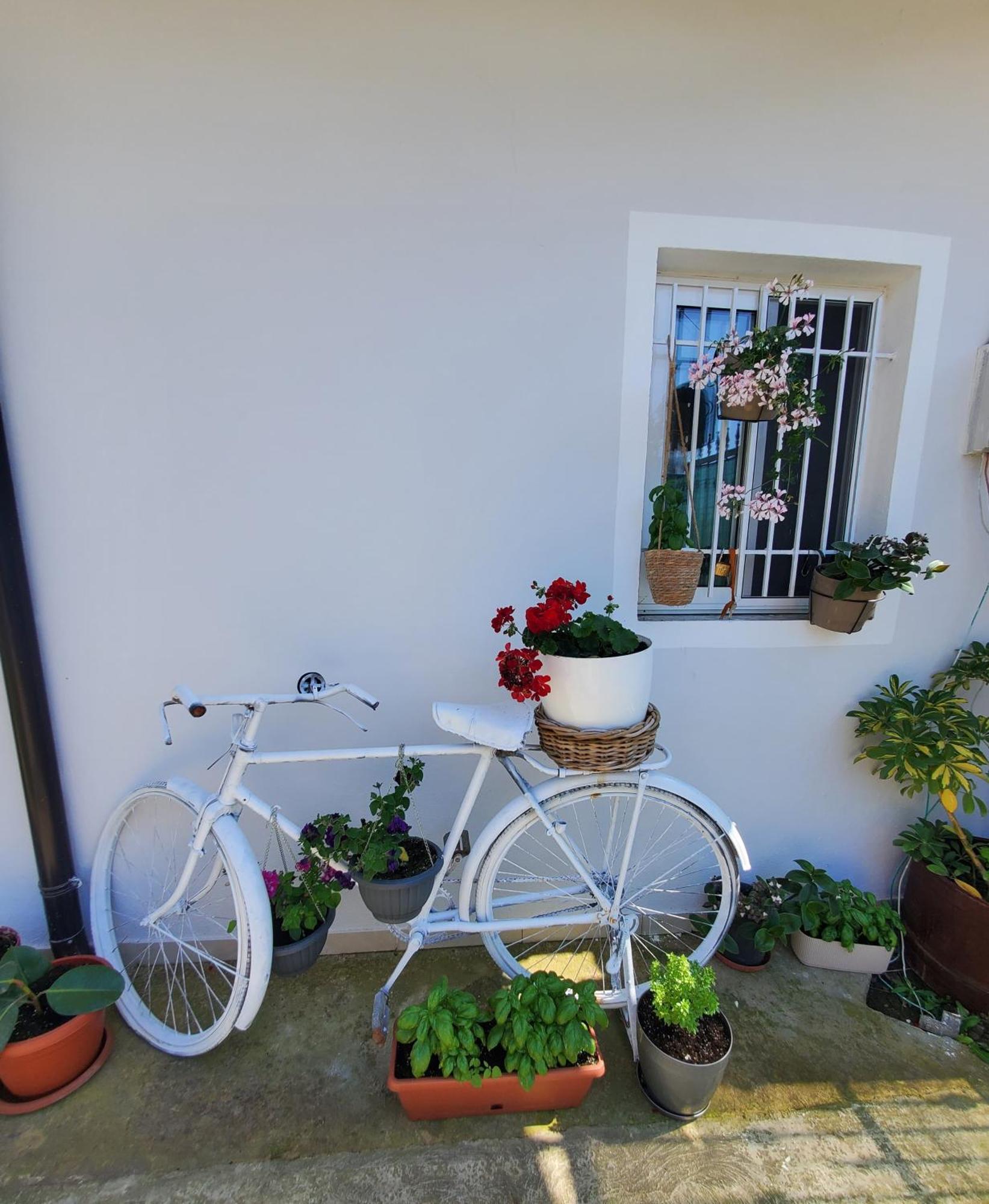 Quarto em Acomodações Particulares Rustic Tale